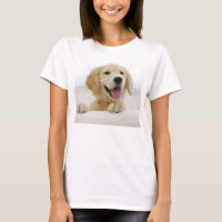 t-shirt básica mujer perro golden retriever