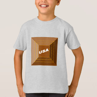 Camiseta T-shirt cendre Enfants  CHOCOLAT  USA