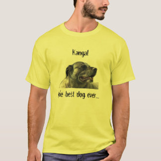 Camiseta t-shirt con kangal