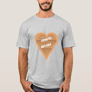 Camiseta T-shirt gris homme VENETO SPORT