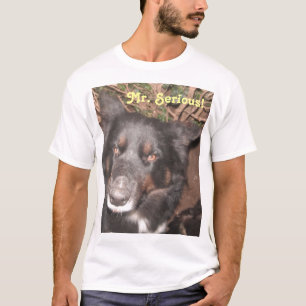 Camiseta T-Shirt Husky Collie Cross