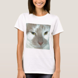 Camiseta Tabby blanco y Naranja