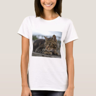 Camiseta Tabby cat listo para la acción