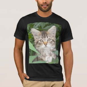 Camiseta Tabby Kitten