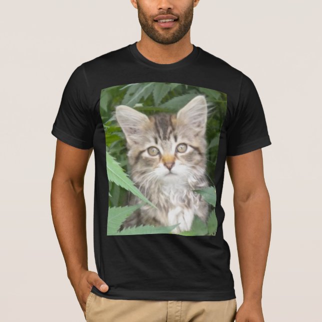 Camiseta Tabby Kitten (Anverso)