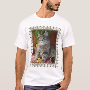 Camiseta Tabby y narcisos, ropa