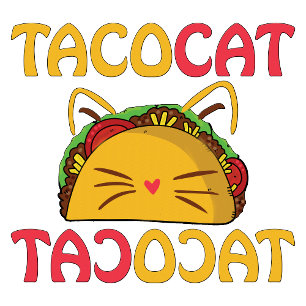 Camiseta Tacocat - Gato Taco Divertido 