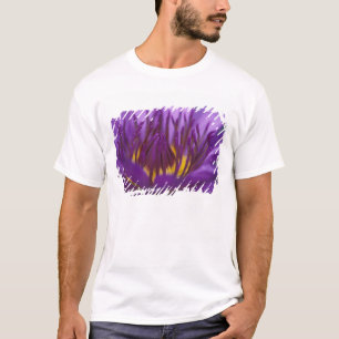 Camiseta Tailandia, Bangkok, Loto púrpura y amarillo 2