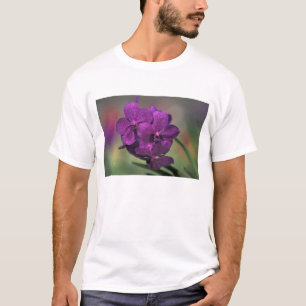 Camiseta Tailandia, norte de Tailandia, cerca de Chang Mai,