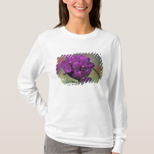 Camiseta Tailandia, norte de Tailandia, cerca de Chang Mai,