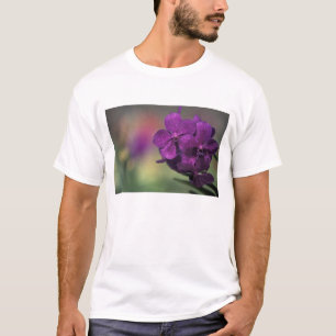 Camiseta Tailandia, norte de Tailandia, cerca de Chang Mai,