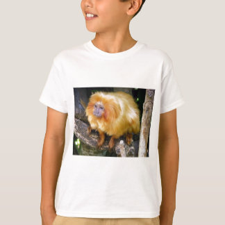 Camiseta Tamarin de oro del león