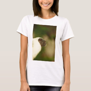 Camiseta Tamarin de varios colores