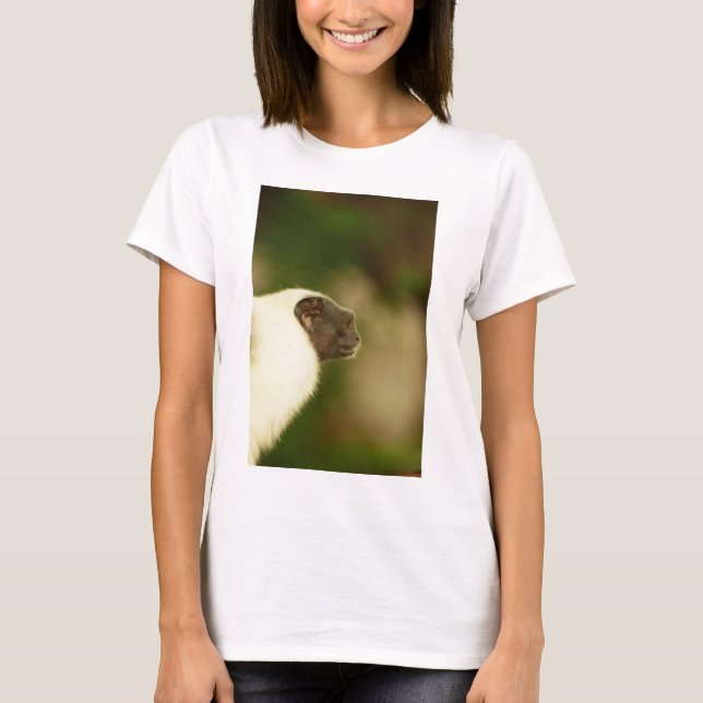 Camiseta Tamarin de varios colores (Anverso)