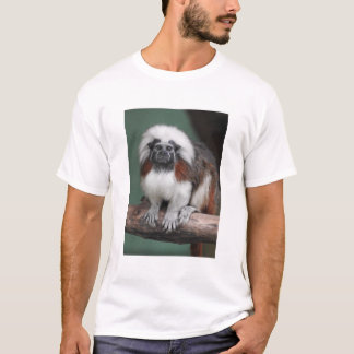 Camiseta Tamarin del Algodón-top