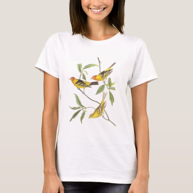 Camiseta Tanager occidental por Audubon (Anverso)