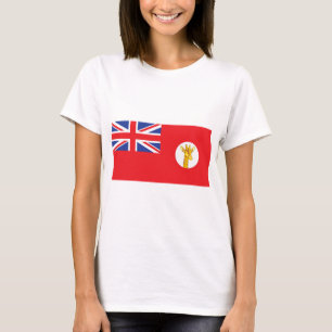 Camiseta Tanganyika Flag (1919)