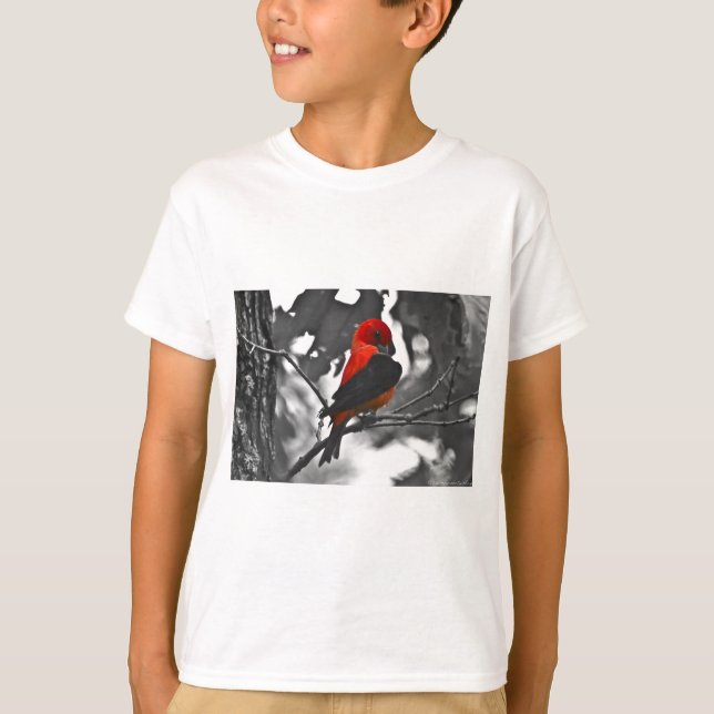 Camiseta Tángara Escarlata macho (Anverso)
