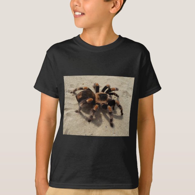 Camiseta Tarantula brachypelma rodilla roja venenosa (Anverso)