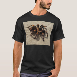 Camiseta Tarantula brachypelma rodilla roja venenosa