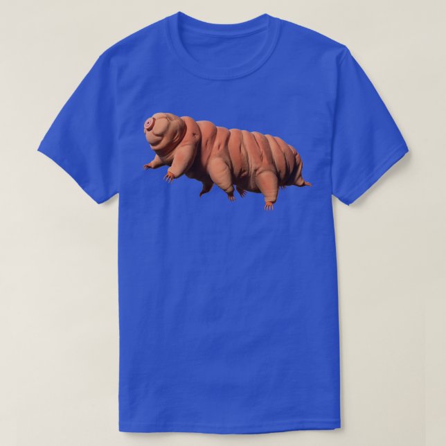 Camiseta tardígrado1 (Diseño del anverso)