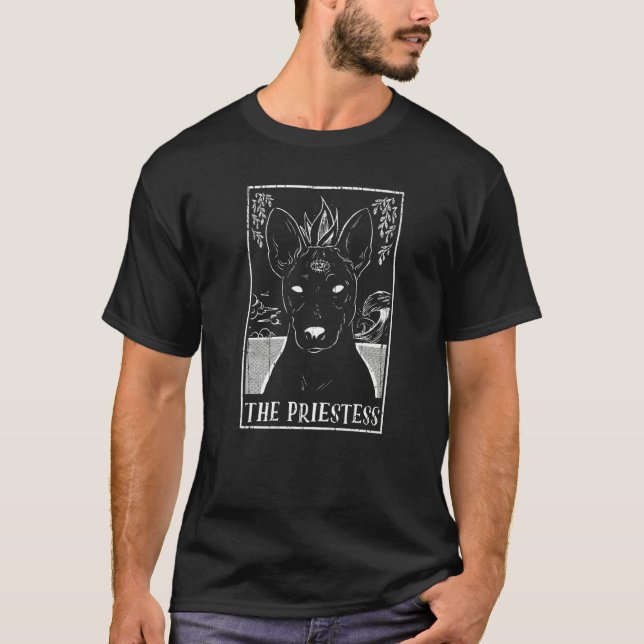 Camiseta Tarjeta Tarot Pagan Goblincore (Anverso)