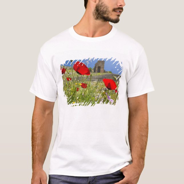 Camiseta Teatro antiguo en la Acrópolis de Pérgamo (Anverso)