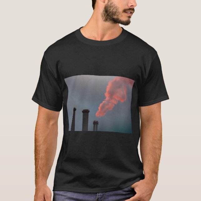 Camiseta Tee natural del Japón del Monte Fuji (Anverso)