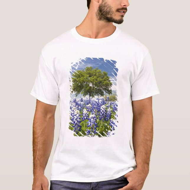 Camiseta Tejas bluebonnets (lupinus texensis) y roble (Anverso)