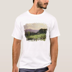 Camiseta Telemark, Noruega del sur