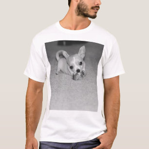 Camiseta ¡Telula la chihuahua!!