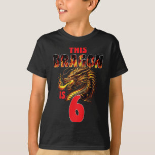 Camiseta Tema Del Dragón De Fantasía Para Niños De 6 Años