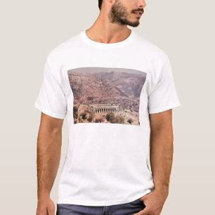 Camiseta Templo de Apolo Epikourios, c.450-20 A.C.