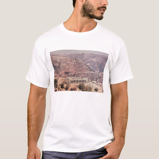 Camiseta Templo de Apolo Epikourios, c.450-20 A.C. (Anverso)