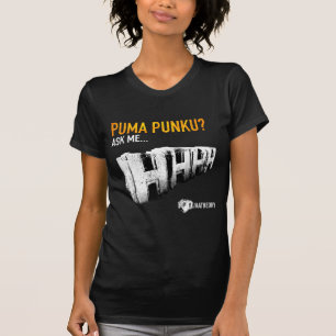 Camiseta Templo de Punku del puma