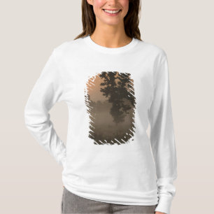 Camiseta Temprano en la mañana, sol naciente y niebla en el