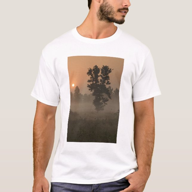 Camiseta Temprano por la mañana, sol naciente y niebla subt (Anverso)