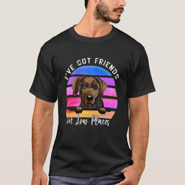Camiseta Tengo amigos en lugares bajos, perro sabueso serbi (Anverso)