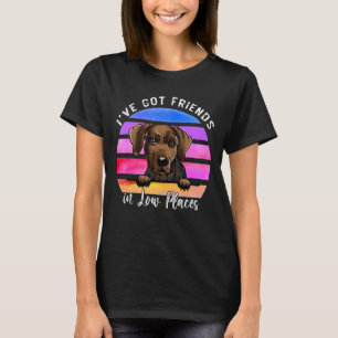 Camiseta Tengo amigos en lugares bajos, perro sabueso serbi