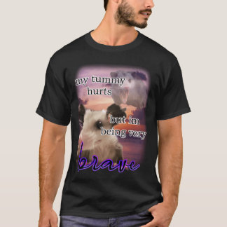 Camiseta tengo dolor de barriga pero estoy siendo un possum