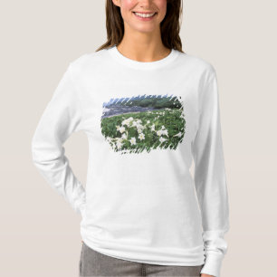 Camiseta Teppo Yuri (Lirio), Yakushima, Kagoshima, Japón