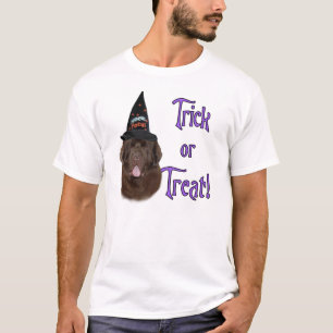 Camiseta Terranova (marrón) Trick