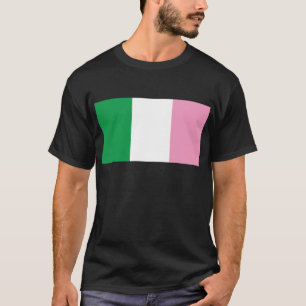 Camiseta Terranova tricolor