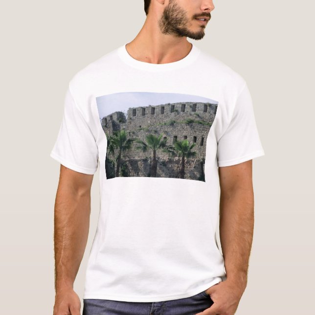 Camiseta Terraplenes de la ciudadela (Anverso)