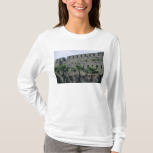 Camiseta Terraplenes de la ciudadela