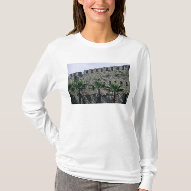 Camiseta Terraplenes de la ciudadela (Anverso)