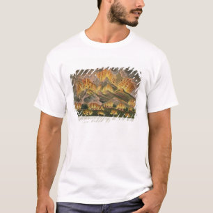Camiseta Terremoto y erupción de la montaña de Asama-y