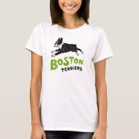 Terrier de Boston