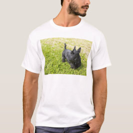 Camiseta Terrier Escocés