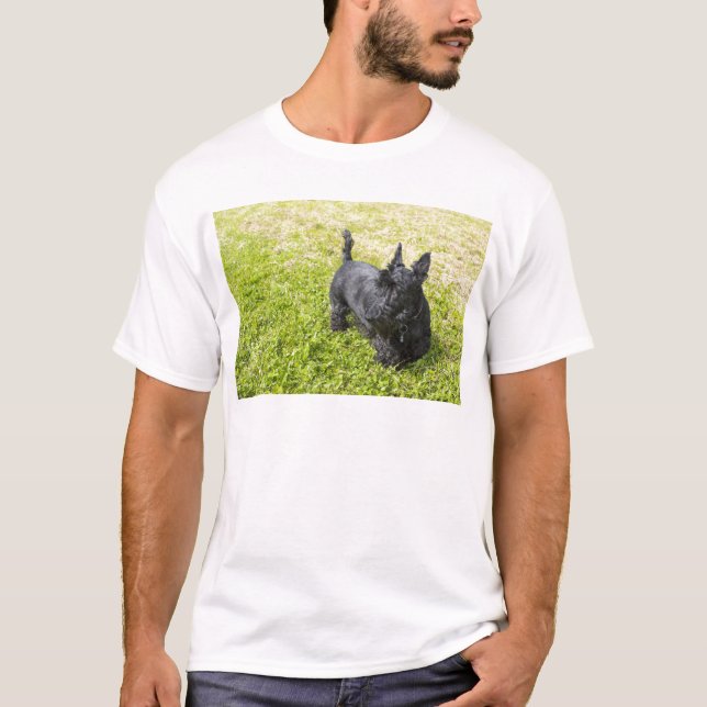 Camiseta Terrier Escocés (Anverso)